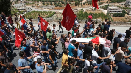 Forcat izraelite martirizojnë pesë palestinezë