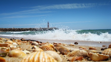 Faro sob alerta devido à valores elevados da temperatura máxima
