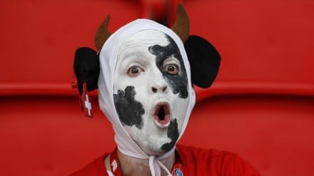 Fanatični navijači na Euru 2016