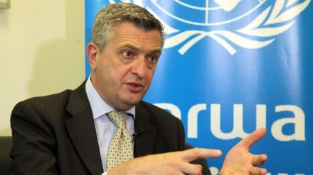 MDD ta bukaci gudanar da bincike kan kisan 'yan gudun hijra a kan tekun Yemen