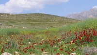 Заповедник Аржан и Паришан