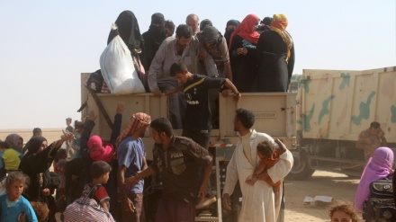  فرار ده‌ها خانواده عراقی از دست داعشی‌ها 