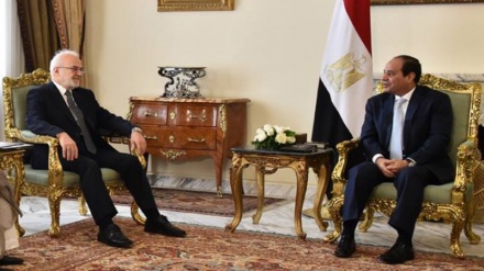 埃及对协助伊拉克反恐做出强调