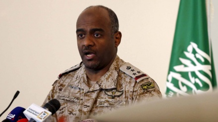 沙特家族政权承认该国反对在也门建立停火