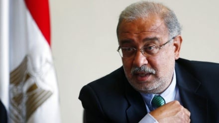 埃及总理被起诉