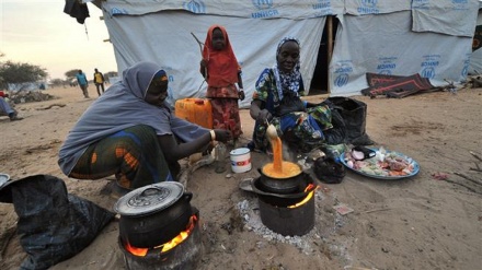 Over 9mn in dire need of food aid in Lake Chad region: UN