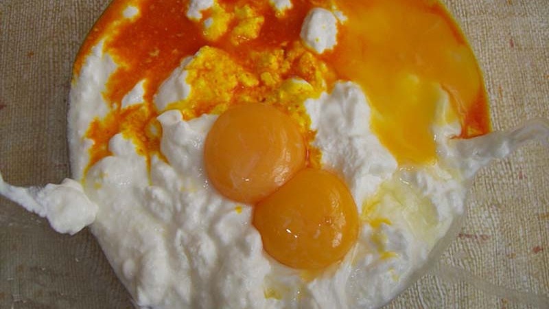 メイド　イン　イランのギリシャヨーグルト