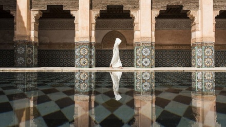 2016年のナショナルジオグラフィック写真コンテストの優勝作品