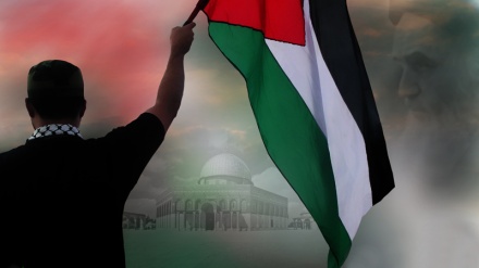 Intervistë: Dita e Kodsit tek Shqipëtarët