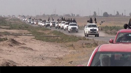 दाइशी आतंकी, मूसिल से सीरिया की ओर 160 गाड़ियों से भागे