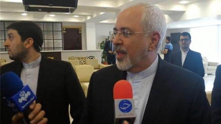 JCPOA was triumph of diplomacy over coercion: FM