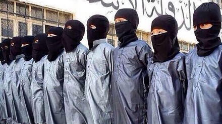  یوروپل: داعش کودکان را برای تروریسم آموزش می‌دهد