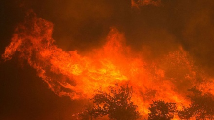 Incendi: brucia ancora nord del Portogallo