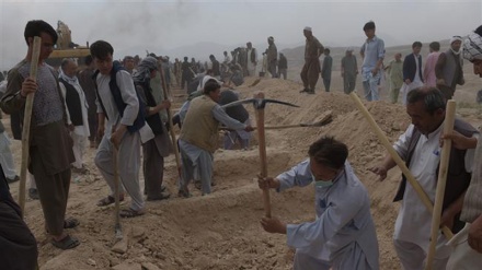 Civilian casualties in Afghanistan at record high: UN