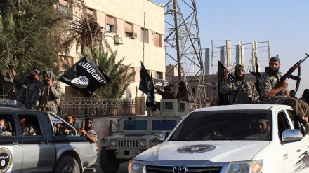 102 terroristes de Daech tués en Syrie