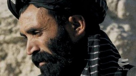 تکذیب مرگ حمزه وزیرستانی از سوی طالبان