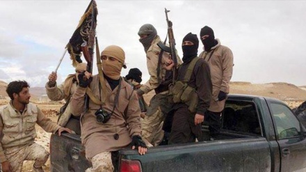 Al-Qaeda terrorist group allows Syrian branch to disintegrate