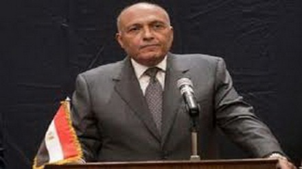 Ganawar Ministan harakokin wajen Masar da Mataimakin Trump