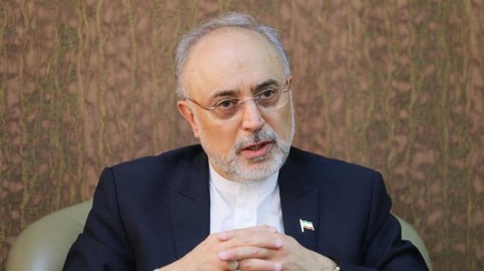 Salehi: Zbatimi i dispozitave të marrëveshjes bërthamore në ridizajnimin e reaktorit Arak
