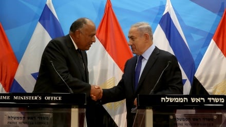 משמעות ביקורו של שר החוץ המצרי בישראל