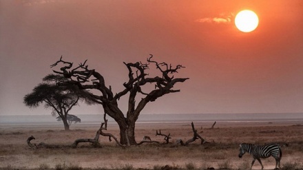 世界の最も美しい日没