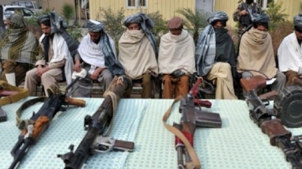 پیوستن 12 شورشی مسلح به روند صلح در افغانستان