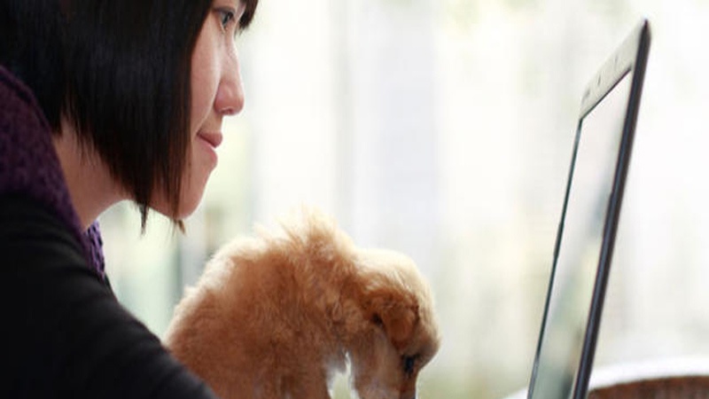 Est-ce que l’Internet peut aider à perdre du poids ?