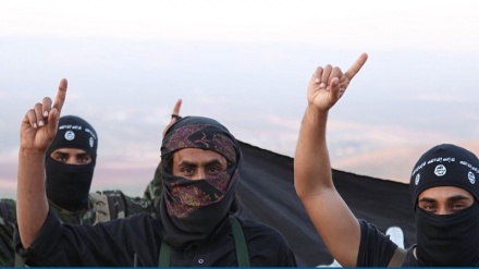 13-member terrorist cell dismantled in Tunisia