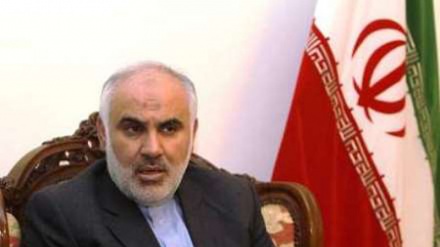 Irán no diferencia entre chiismo y sunismo al apoyar a la Resistencia 