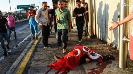 Афзоиши шумори куштаҳои табаддулот дар Туркия