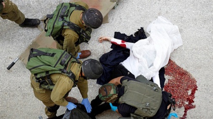 Martirizohet një palestinez në Gaza