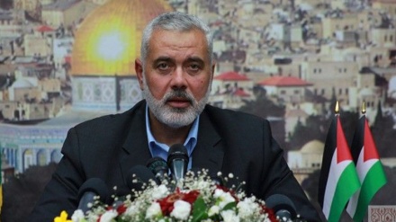 הנייה: המסמך המדיני של חמאס לא יכלול שינוי בעקרונות התנועה