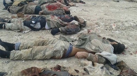 Makumi ya magaidi wakufurishaji waangamizwa Syria