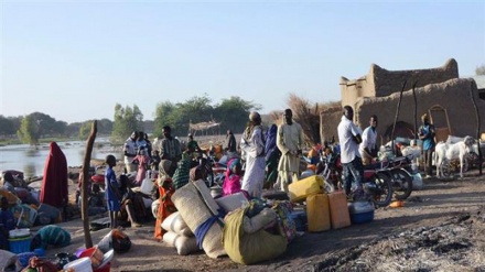 An Kashe Yan Mata Ukku Yan Kunan Bakin Wake A Kusa Da Garin Madagali Na Jihar Adamawa  