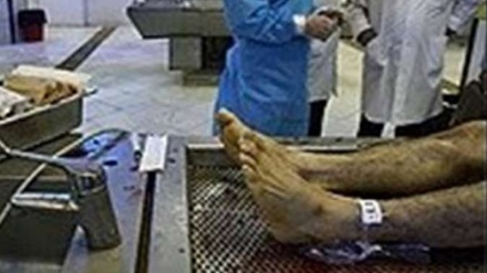 Wazayuni watuhumiwa kuiba viungo vya miili ya Wapalestina