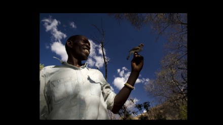 Il cacciatore di miele  in Africa