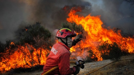Portugal: Bombeiros congratulam-se com reintegração de ex-comandante