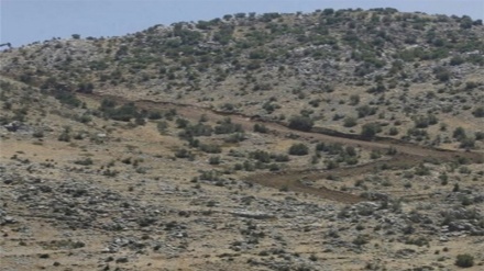 真主党对犹太复国主义政权再次侵犯黎巴嫩做出反应