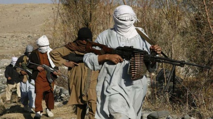  Taliban Ta Shelanta Farmaki Kan Dadarun Ketare A Afganistan 