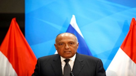 Shoukry: Kuuliwa watoto wa Kipalestina  hakuwezi kutajwa kuwa ni ugaidi