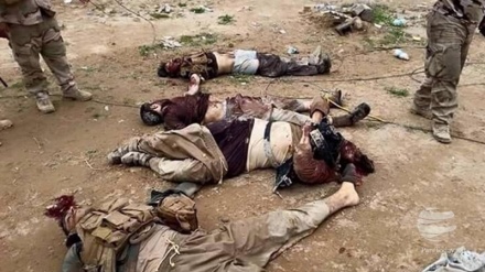 Zaidi ya magaidi 1000 wa Daesh waangamizwa mkoani al-Anbar, Iraq 