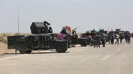 Iraqi forces liberate Khaldiyah Island in Anbar province 