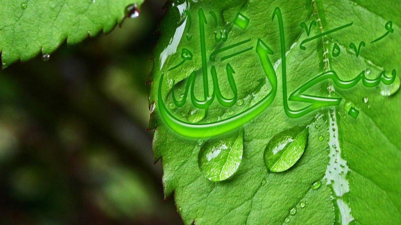 Islam richtig kennenlernen (29)