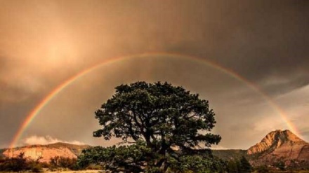 {FOTO DEL GIORNO} Bella Africa