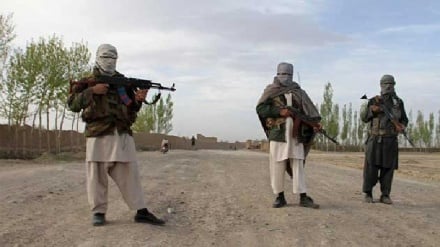 Taliban'ın saldırısı ters tepti