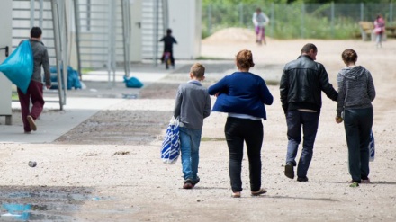 Problemet e një shtetasi sirian me 4 gra dhe 22 fëmijë në Gjermani