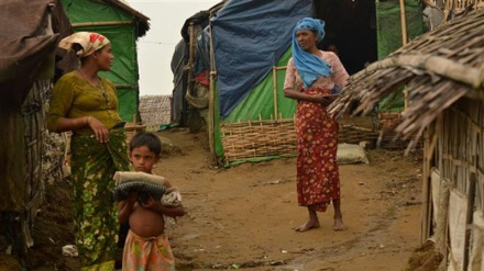UN says Rohingya entitled to Myanmar citizenship
