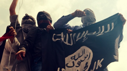 Bincike: Sama Da 'Yan Ta'adda Dubu 360 Daga Kasashe 93 Aka Shigar Da Su Siriya