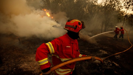 Portugal: bombeiros falam em terrorismo como causa de incêndios