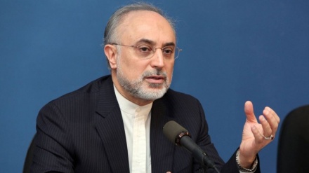 Iran akan Ambil Langkah Lain jika JCPOA Dirusak